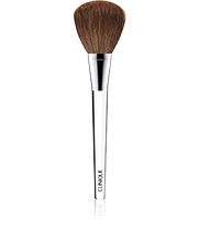 Powder Brush